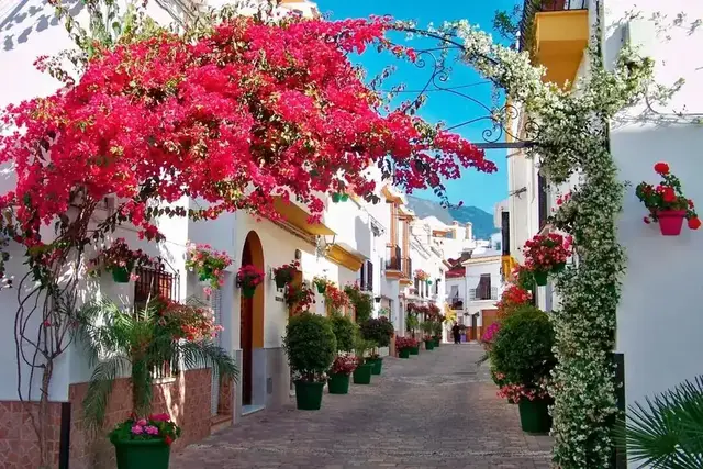 Estepona, Marbella