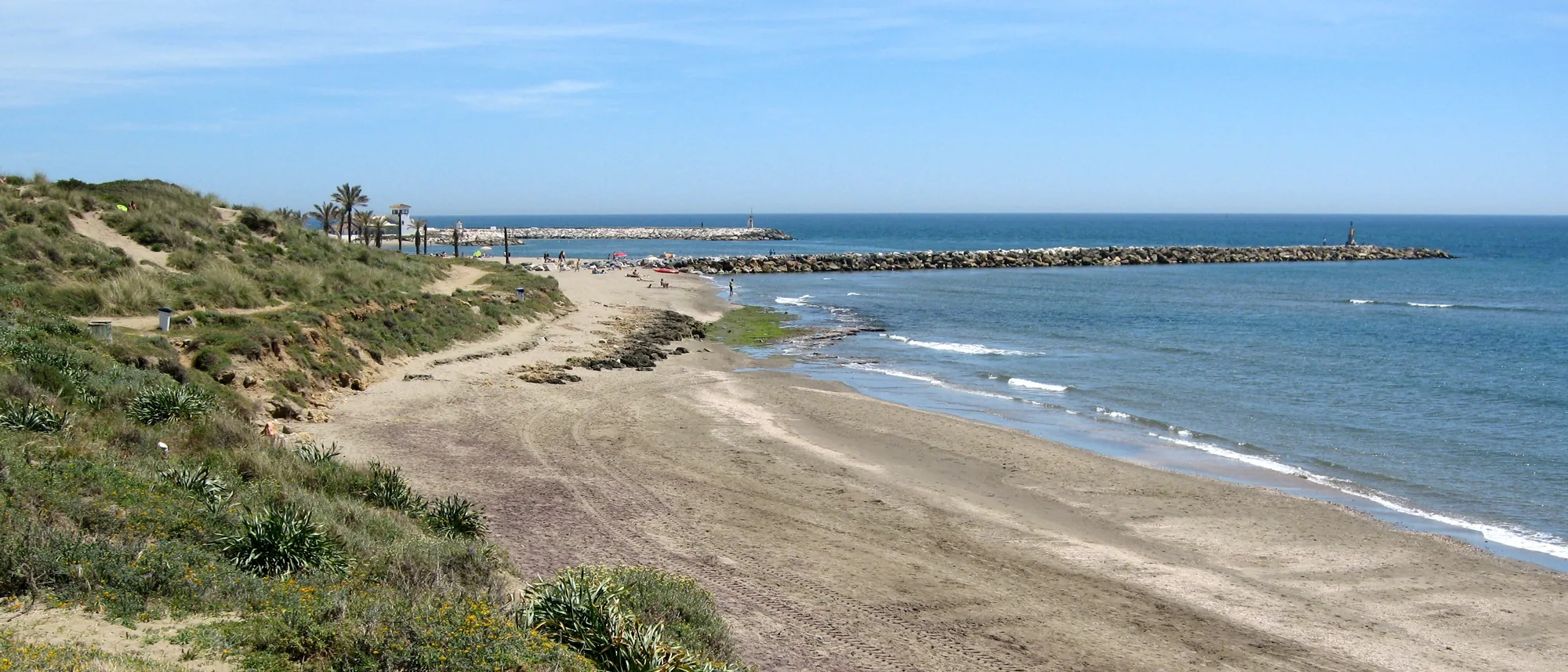The protected Artola dune system running along the shoreline at Cabopino beach in Marbella