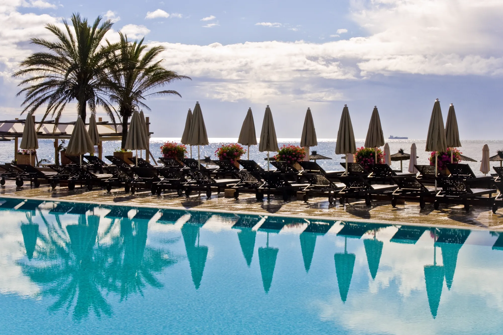 Poolside terrace and palms in a resort setting in Guadalmina, on the western side of Marbella