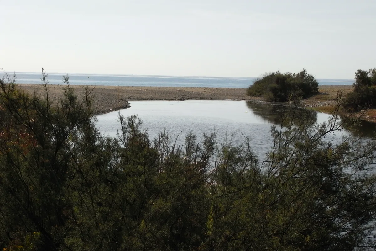 The mouth of the Guadalmina river where it meets the Mediterranean