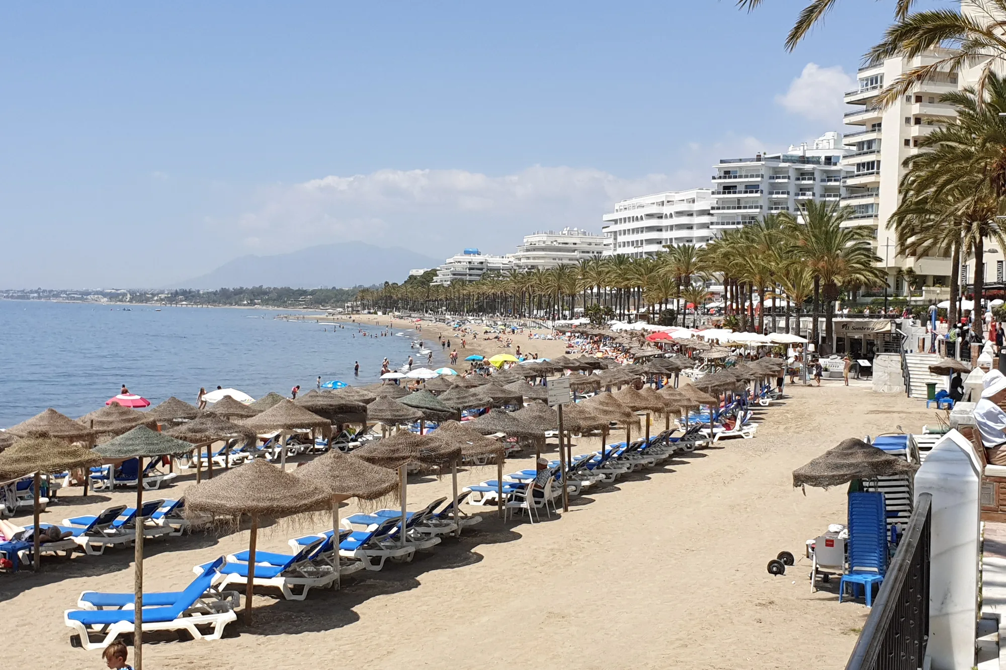 Playa de la Fontanilla in central Marbella, with first-line apartment buildings and palm trees behind the beach