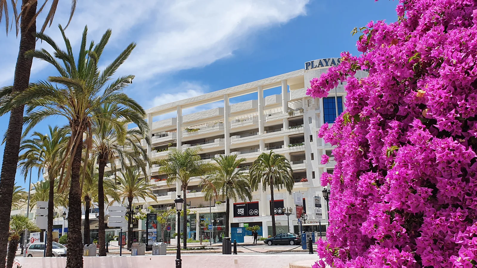 Residential avenue with apartment buildings and palm trees at Playas del Duque in Puerto Banús