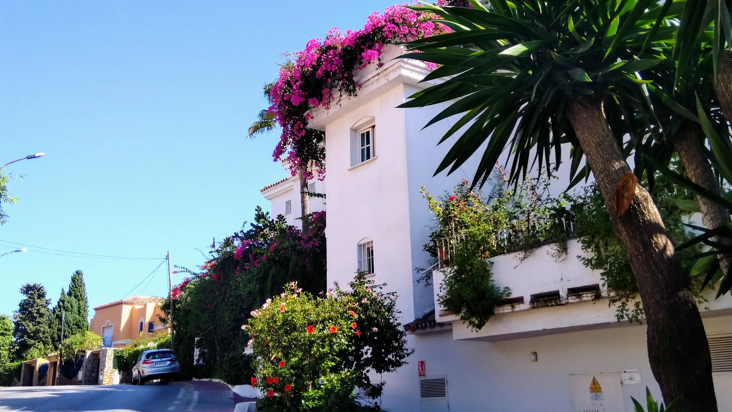 White low-rise houses with bougainvillea on a residential street in Nueva Andalucía, Marbella