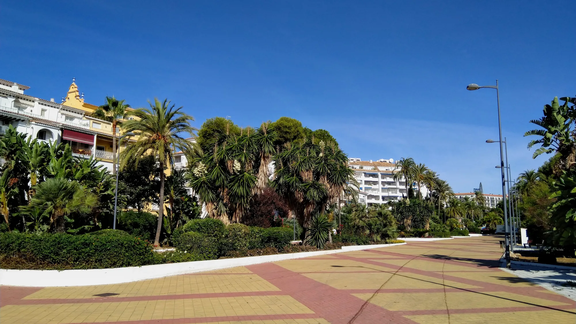 Residential street with white houses and palm trees in Nueva Andalucía, Marbella