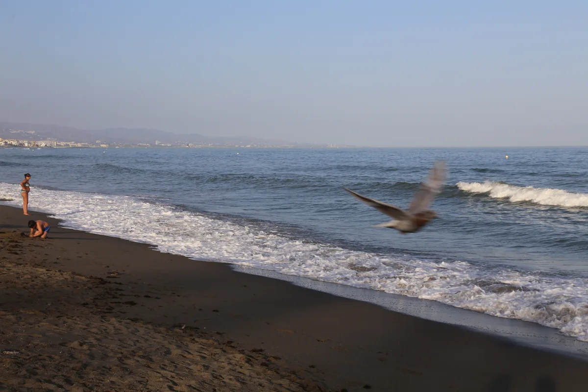 Shoreline and open sand on the beach at San Pedro de Alcántara