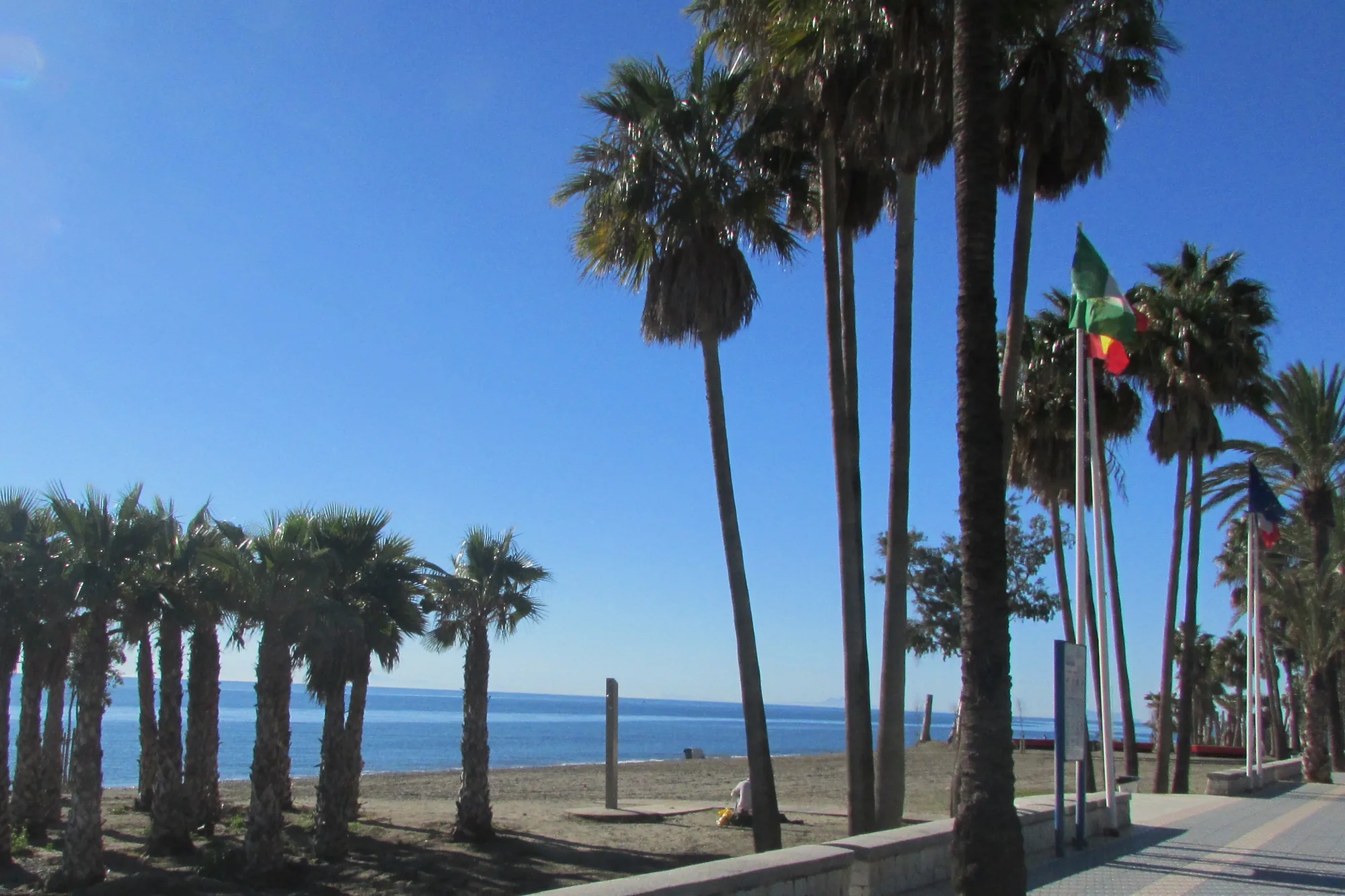 Seafront promenade lined with palm trees beside the beach at San Pedro de Alcántara, Marbella