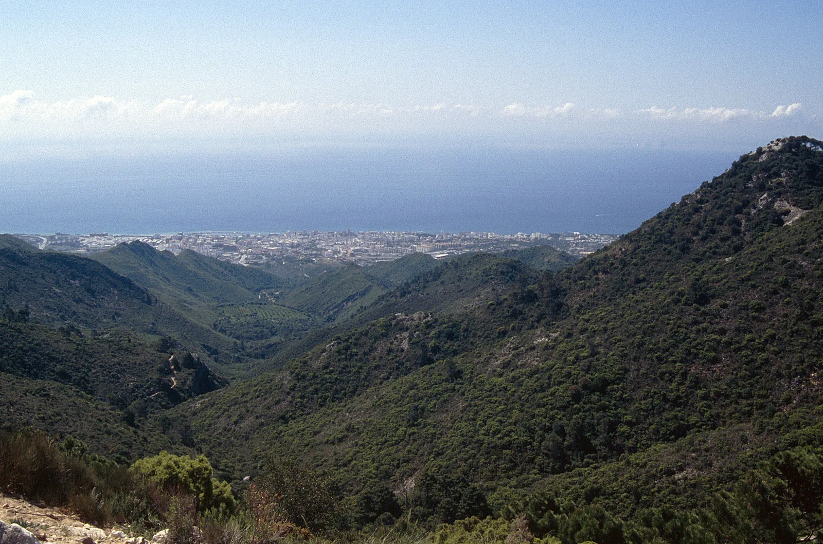 View from the wooded Sierra Blanca hillside down towards Marbella and the Mediterranean coast